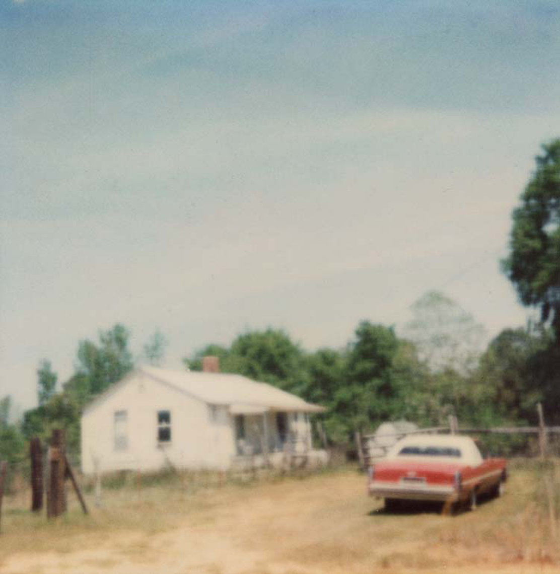 Polaroid, Jennifer Olson 2 