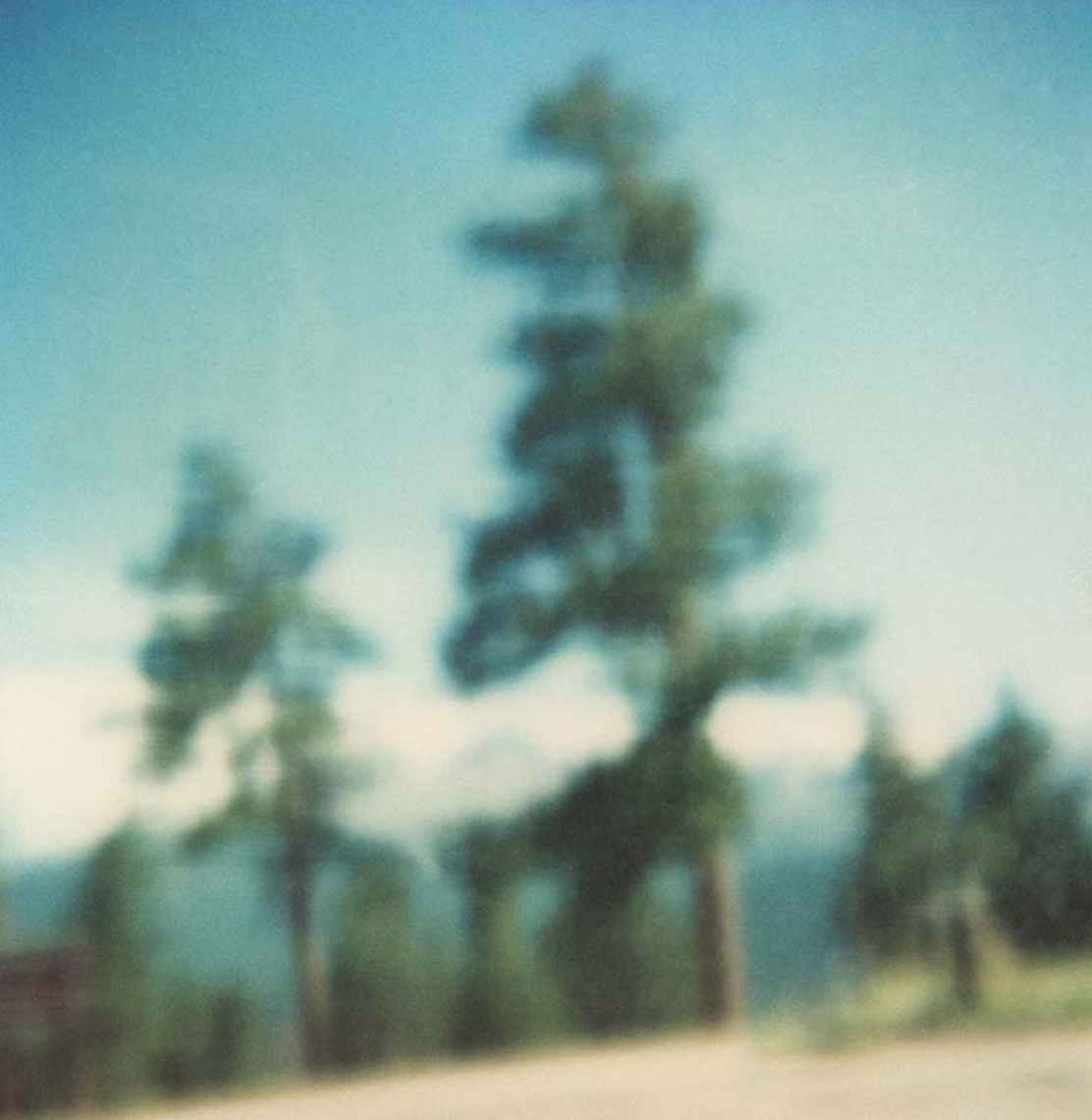 Polaroid, Jennifer Olson JO13