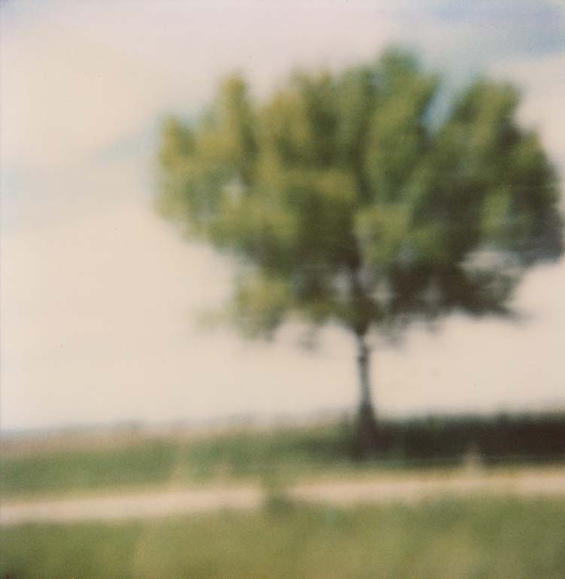 Polaroid, Jennifer Olson j9 